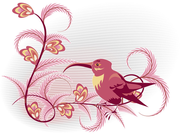 Pink colibri - Vettoriali, immagini