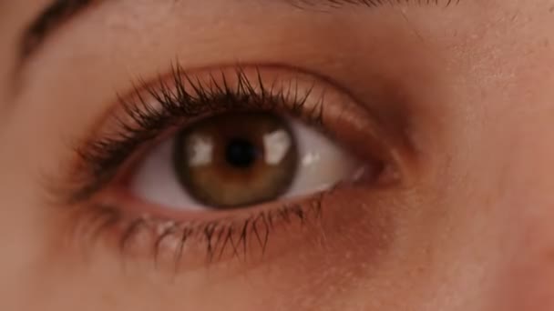 Close up shot of a woman's eyes - Záběry, video