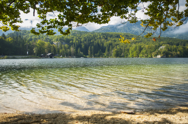 Bohinj lake, Slovenia - 写真・画像