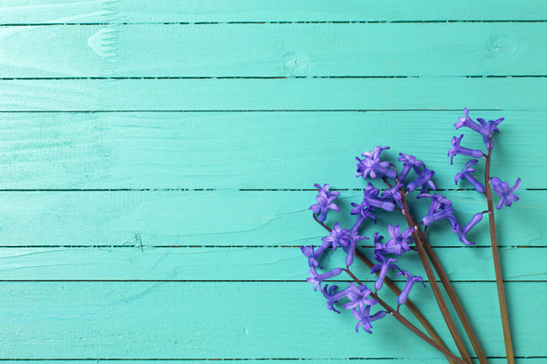 Background with blue spring flowers - Φωτογραφία, εικόνα