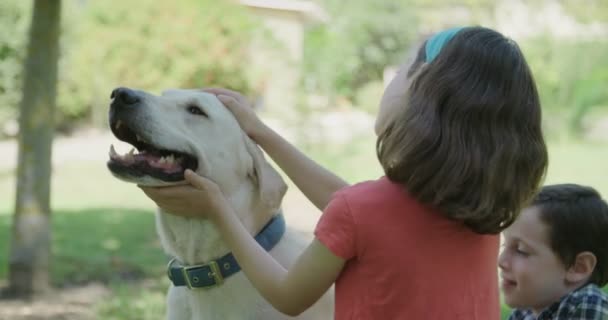 Two kids petting and playing with a big white dog - Footage, Video