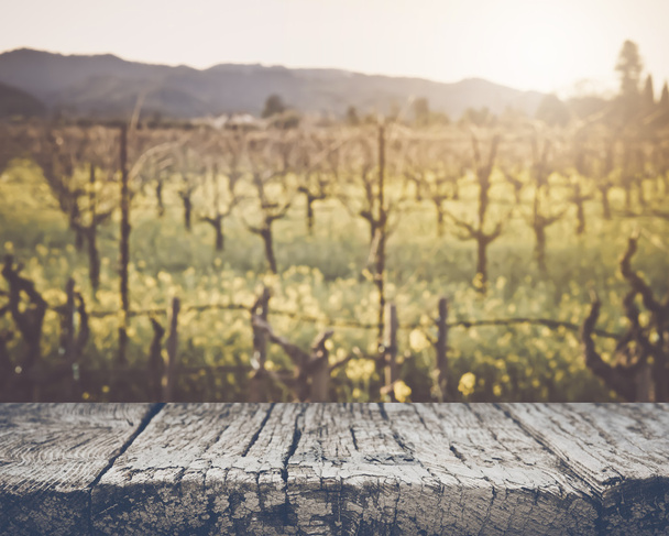 Размытый виноградник весной с винтажным Instagram Film Style Fil
 - Фото, изображение