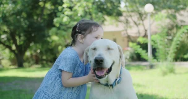 Malá holčička líbání velkého bílého psa - Záběry, video