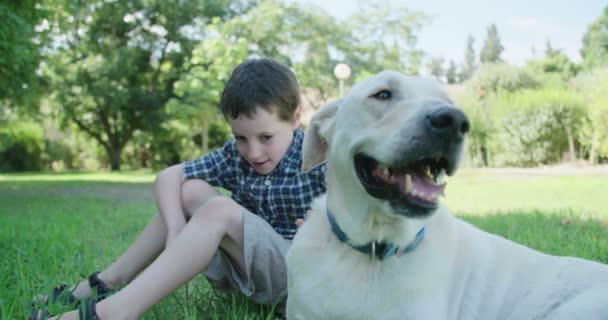 Menino brincando com um grande cão branco ao ar livre
 - Filmagem, Vídeo