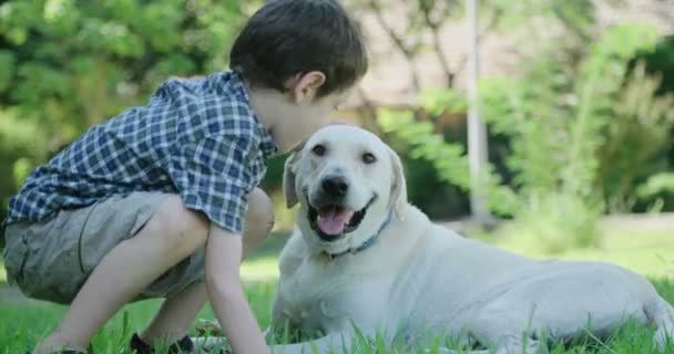 Chlapec hrát s velkého bílého psa venku - Záběry, video