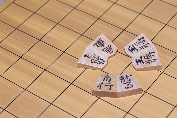 Game of go of the shogi. - Photo, Image