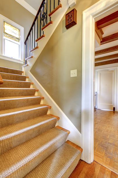 Ancien escalier avec murs verts et tapis
. - Photo, image