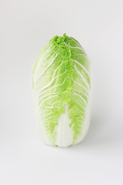 Chinese cabbage - Photo, Image