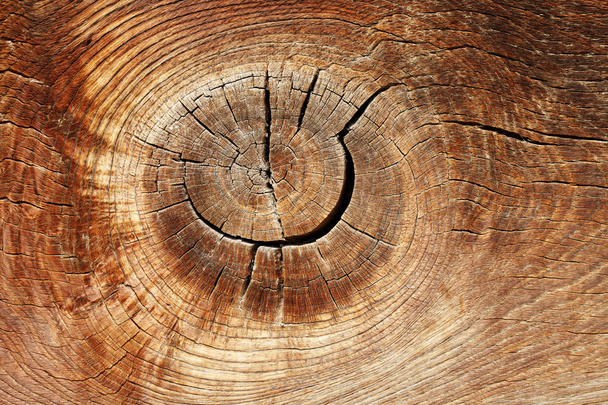 Szüreti fa texture, grunge, absztrakt háttér - Fotó, kép