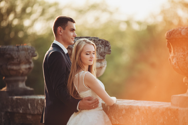 schönes romantisches Hochzeitspaar, das sich bei Sonnenuntergang in der Nähe des alten Schlosses umarmt - Foto, Bild