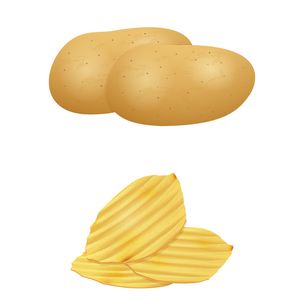 Illustration of potato isolated with potato chips. - Vector, Image