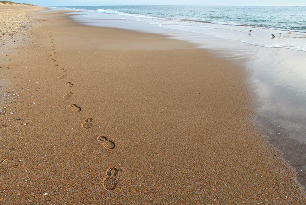 voetstappen op een strand in Noord-carolina - Foto, afbeelding