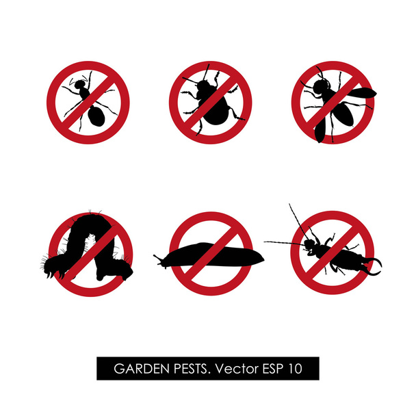 Pest control. Set of prohibition signs on white background - Vector, Image