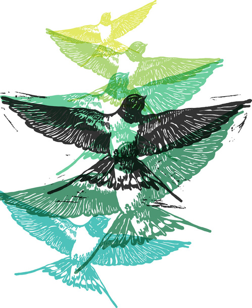 Vector Swallows in abstract composition - Vector, Image