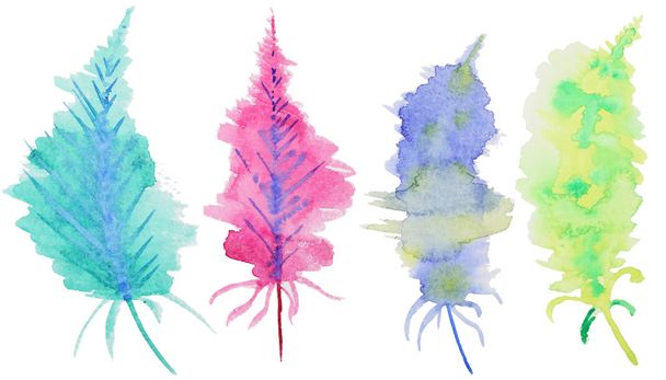 Set of watercolor feathers - Foto, imagen
