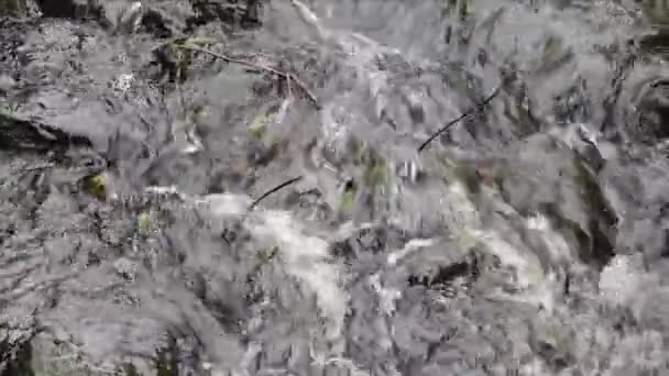 riacho ondulante alto com pedras grandes
 - Filmagem, Vídeo