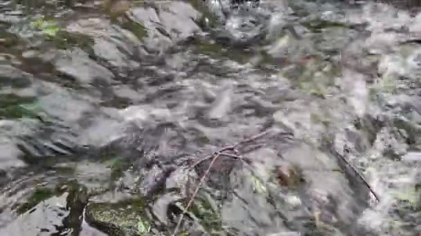 riacho ondulante alto com pedras grandes
 - Filmagem, Vídeo