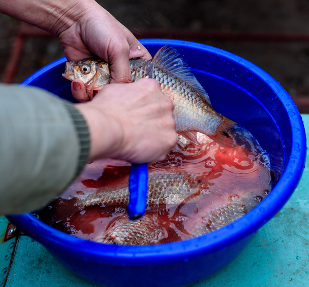 nettoyage des poissons sur les balances
 - Photo, image
