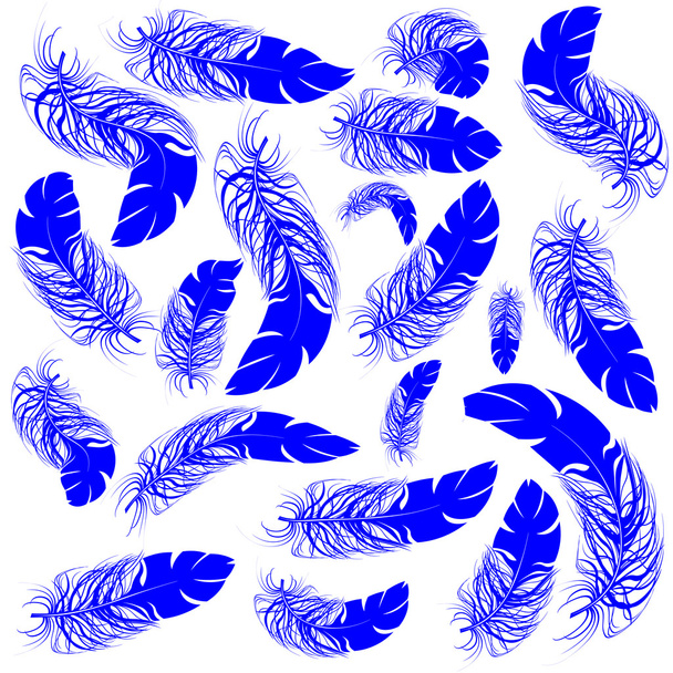 Blauwe kleur veren  - Vector, afbeelding