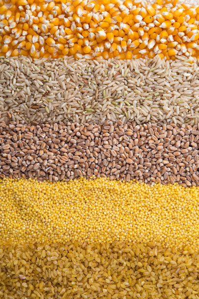 Collection Set of Cereal Grains - Photo, Image