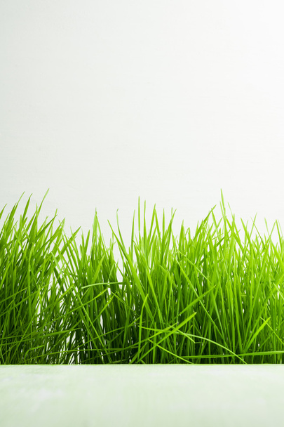 Green grass background - Фото, изображение