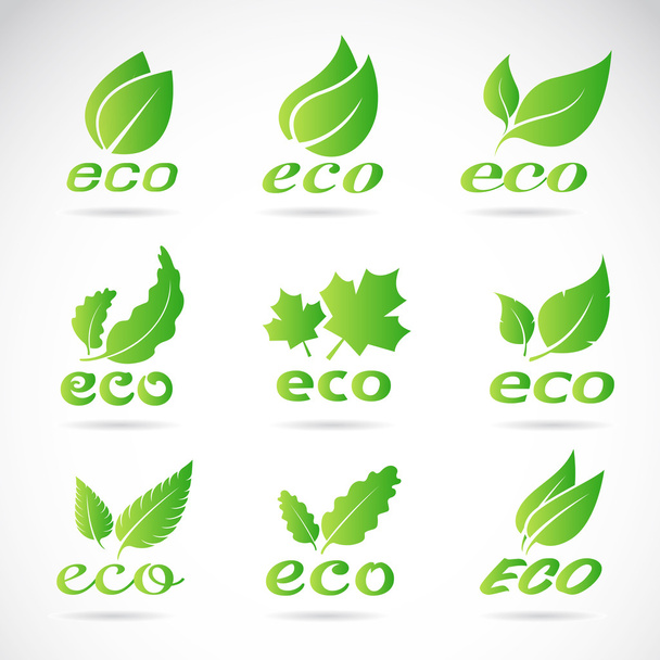 緑の葉のデザイン。生態学のアイコンを設定します。緑のエコのアイコン バッジ vec - ベクター画像