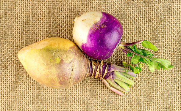 Aerial view of raw swede and turnip - Photo, Image