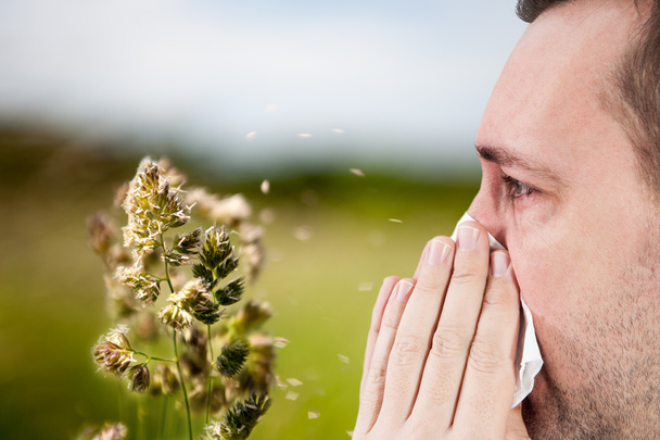 アレルギーの季節、レイプ - 写真・画像