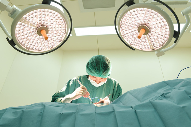 veterinarian surgery in operation room - Фото, изображение