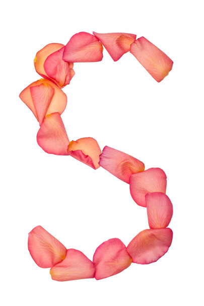 S letter made of pink rose petal - Photo, Image