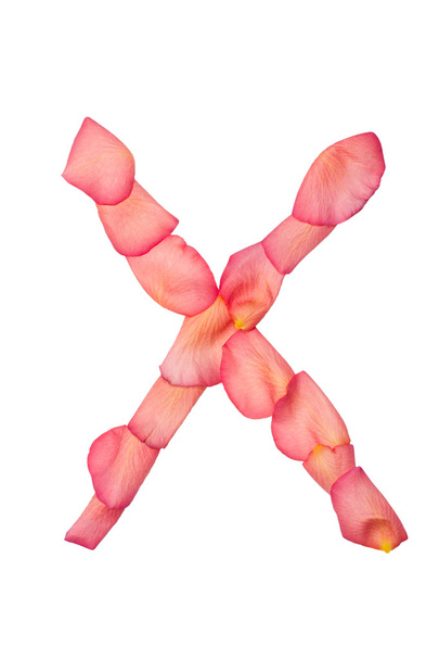 X-літери з рожевої пелюстки троянди
 - Фото, зображення
