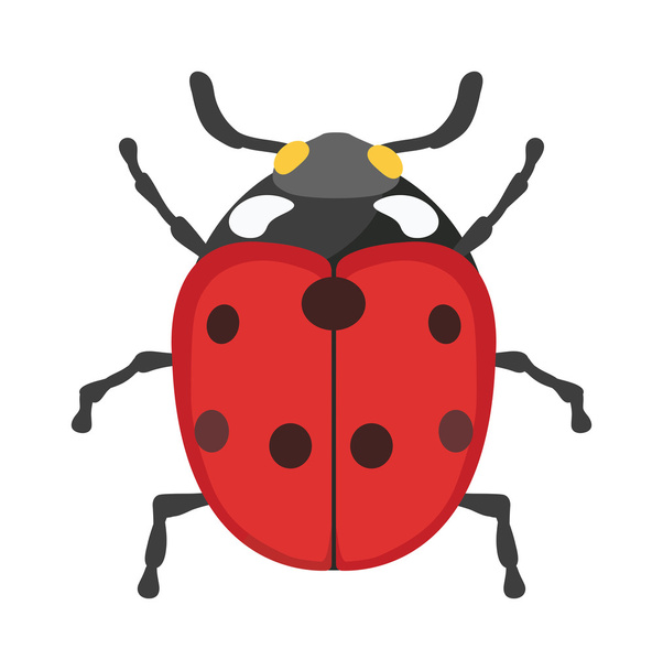 Cute cartoon ladybug vector insect isolated on white background. - Vektör, Görsel
