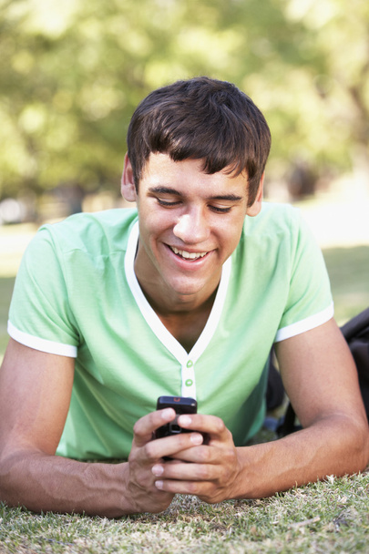 Boy Reading Message On Mobile Phone - Zdjęcie, obraz