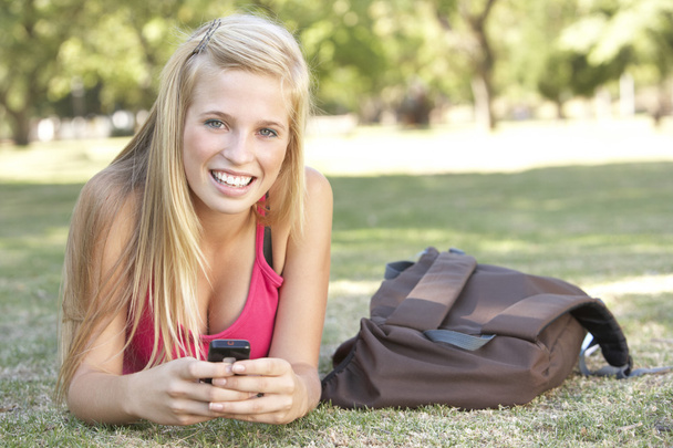 Teenage Student Texting In Park - Foto, Bild