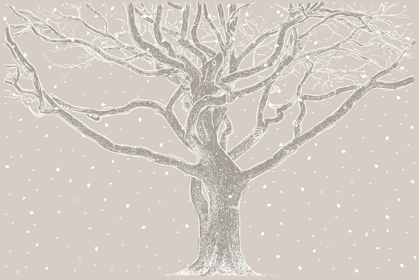 tree in a winter - Vector, Image