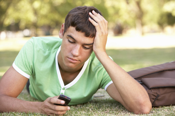 Unhappy Student With Mobile Phone In Park - Photo, Image