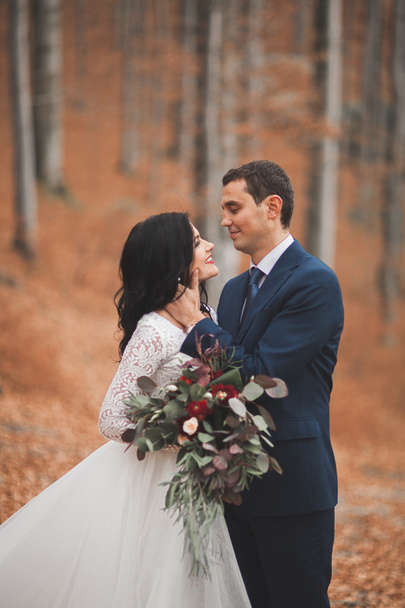 Gorgeous wedding couple kissing and hugging in forest with big rocks - Foto, afbeelding
