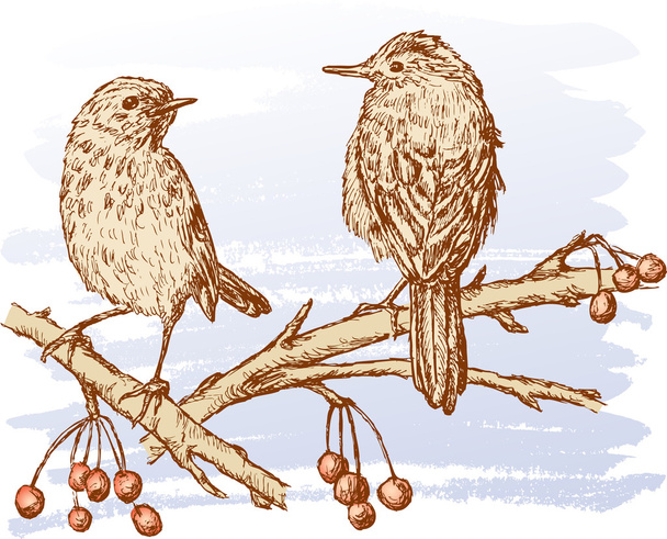 Deux oiseaux sur les branches
 - Vecteur, image