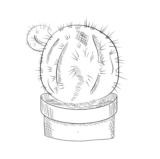 ilustración vectorial de un cactus - Vector, imagen