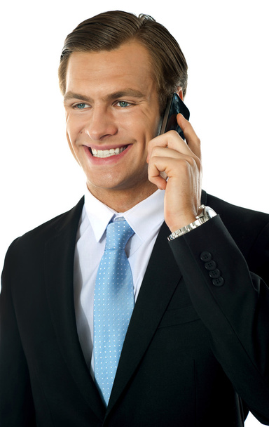 Businessman communicating via cellphone - Fotografie, Obrázek