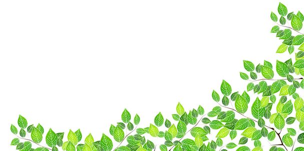 Φρέσκο πράσινο φόντο δένδρων φύλλων - Διάνυσμα, εικόνα