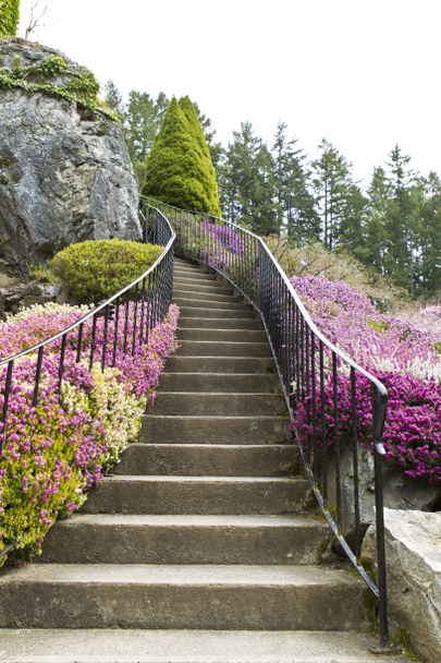 Cennete giden merdiven - Fotoğraf, Görsel
