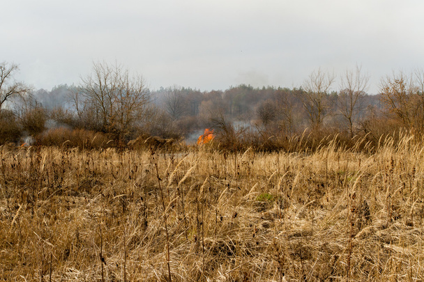 quema de hierba seca en el campo
 - Foto, imagen