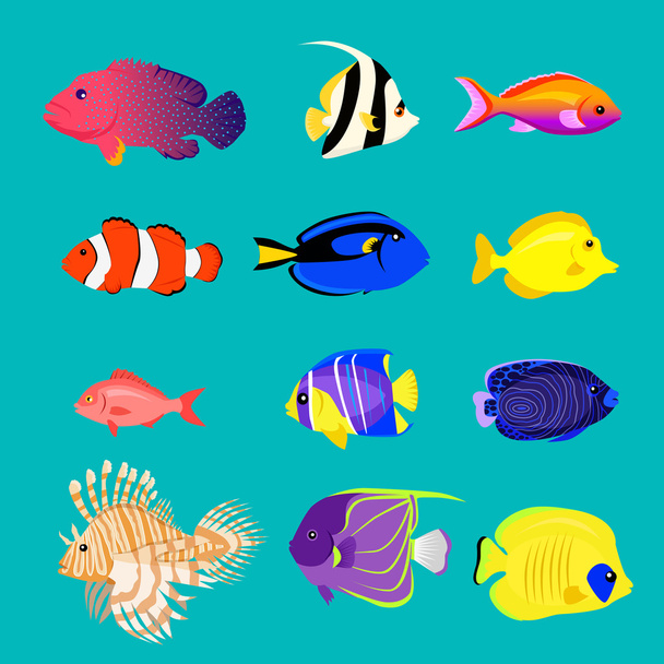 Set of Sea Fish Color Design Flat - Вектор, зображення