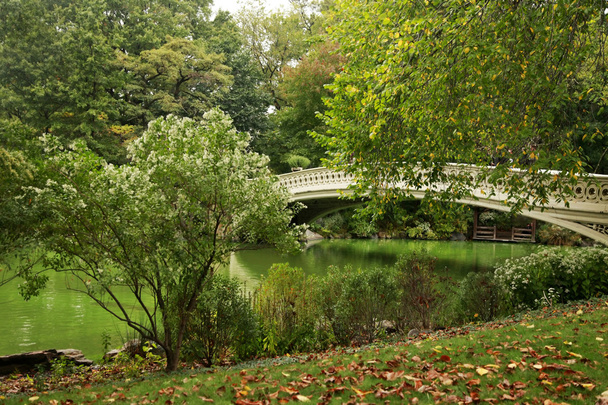 Central Park a New York - Foto, immagini