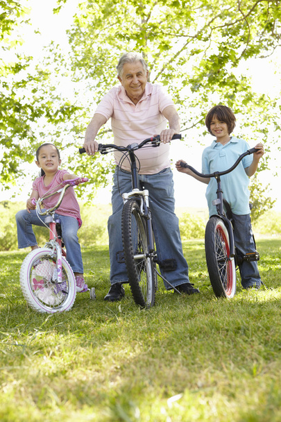 Grandfather With Grandchildren In Park Riding Bikes - 写真・画像