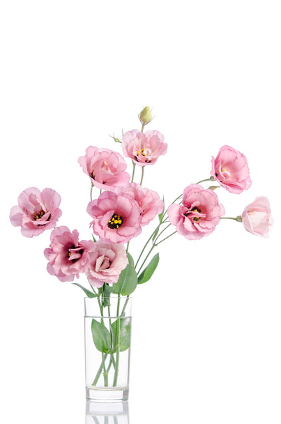 bunch of pink eustoma flowers in glass vase isolated on white - Foto, Bild