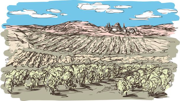 sketch of vineyard landscape - Vector, Image