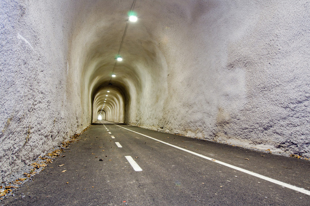 Long Pedestrian Tunnel. - Photo, Image