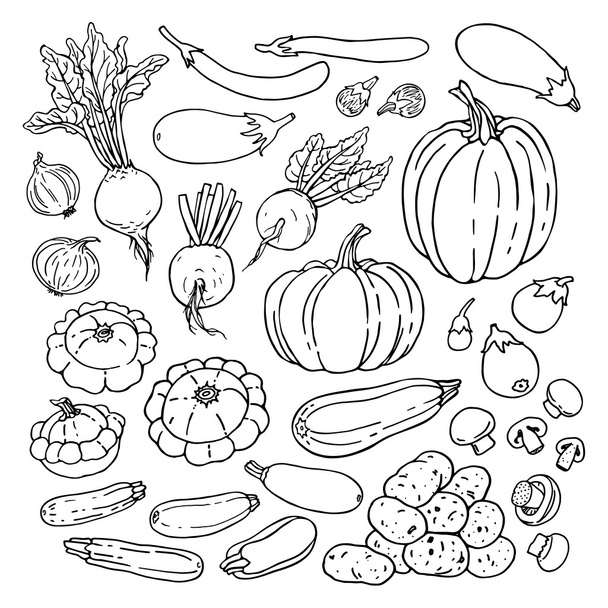 conjunto de verduras frescas naturales
 - Vector, imagen